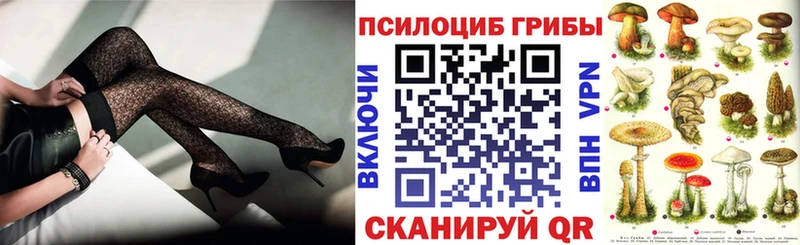 Галлюциногенные грибы Cubensis  закладка  Красновишерск 